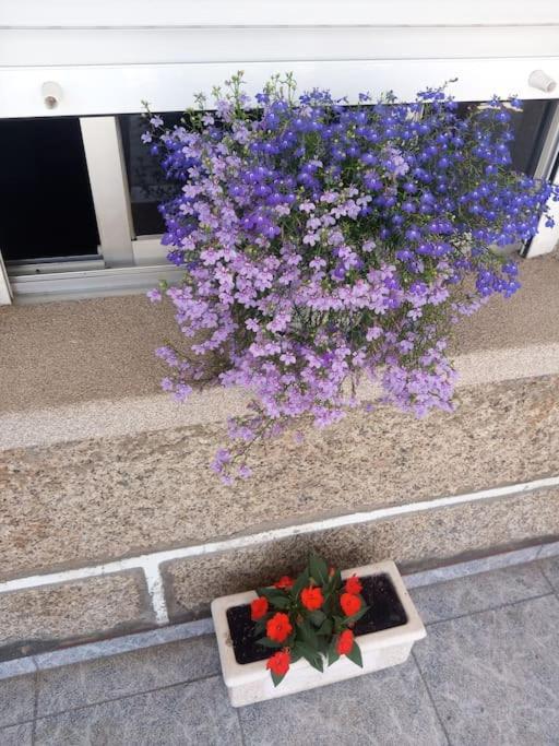 Precioso Apartamento En San Vicente De O Grove San Vicente do Grove Eksteriør bilde